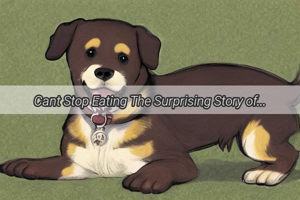 Cant Stop Eating The Surprising Story of a Dogs Uncontrollable Appetite